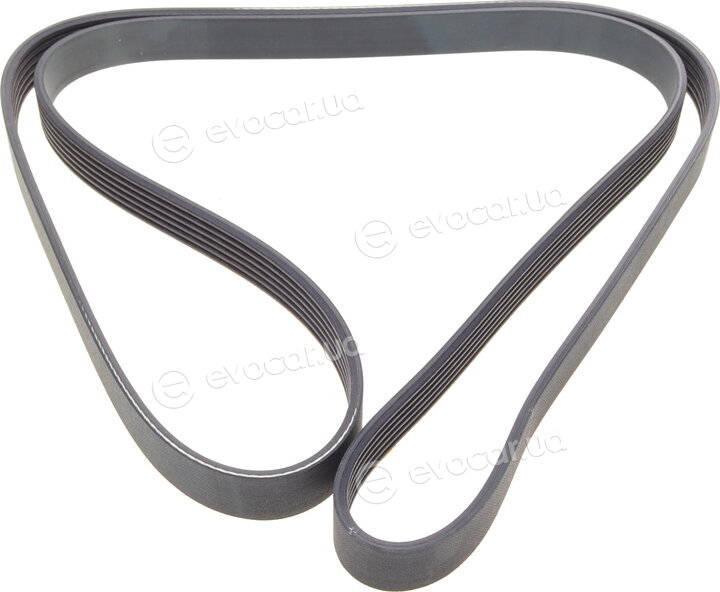 Dayco 6PK1736