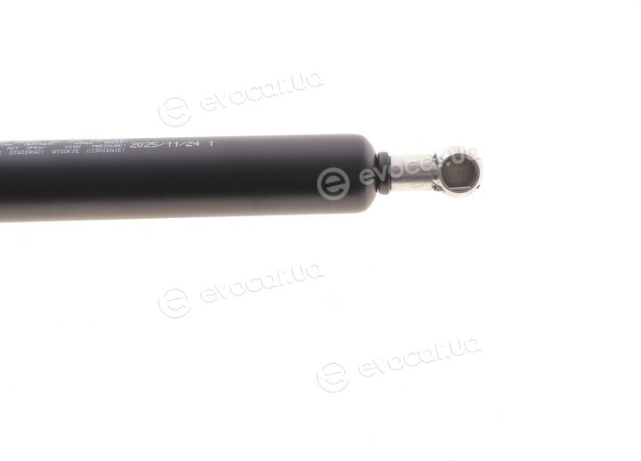 Magneti Marelli 430719138100