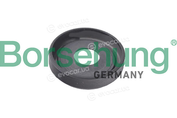 Borsehung B19243