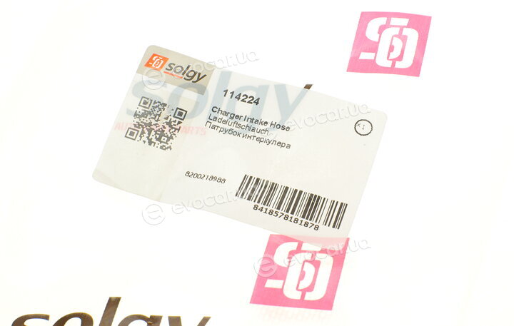 Solgy 114224