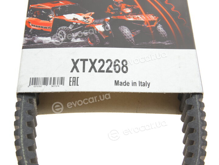 Dayco XTX2268