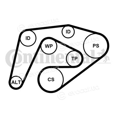 Continental 6PK2260K3