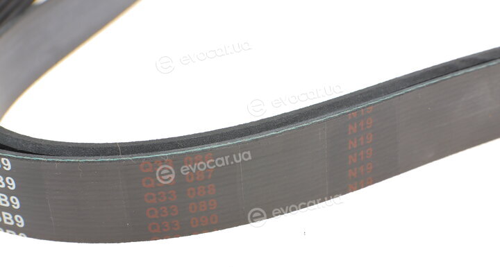 Blue Print AD06R1636