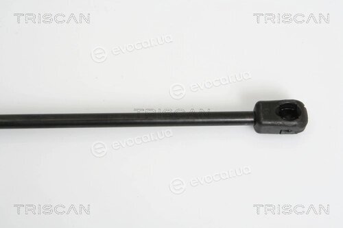 Triscan 8710 43227
