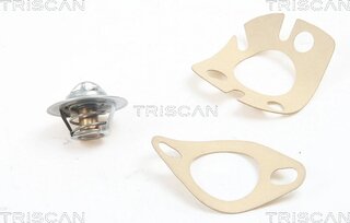 Triscan 8620 1091