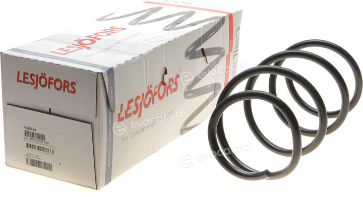 Lesjofors 4008454