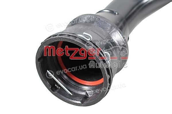 Metzger 2401035