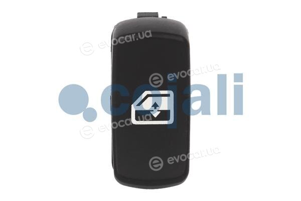 Cojali 2260484