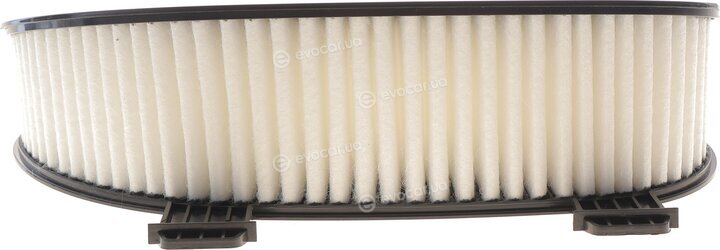 Solgy 103195