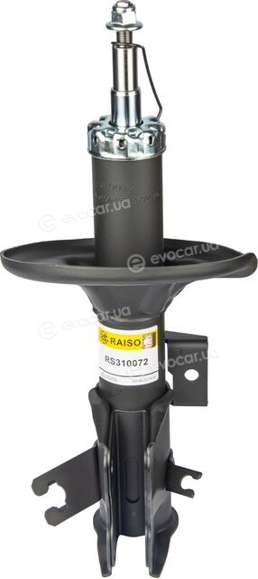 Raiso RS310072