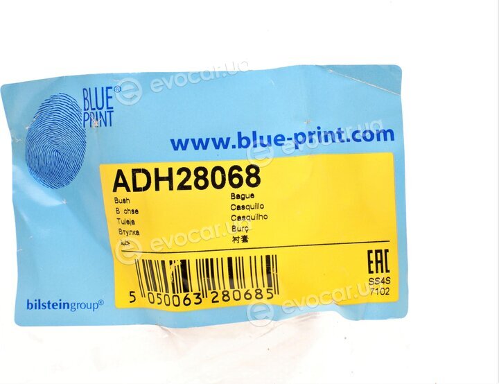Blue Print ADH28068