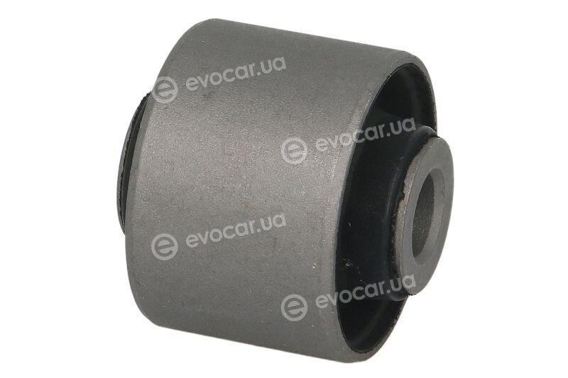 Tedgum 00269565