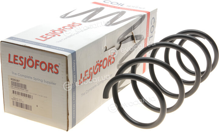 Lesjofors 4026187