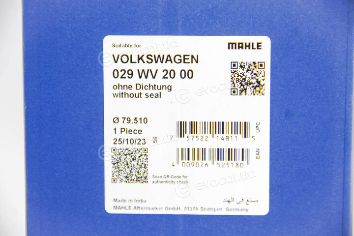 Mahle 029 WV 20 00