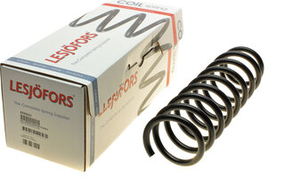 Lesjofors 4259251