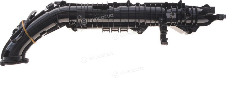 Solgy 114285