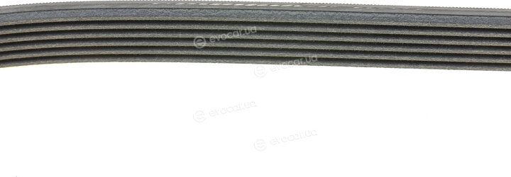 Continental 6PK2205