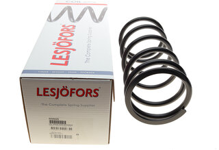 Lesjofors 4259225