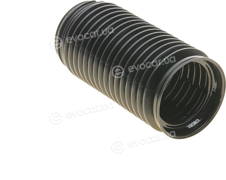 Borsehung B10027