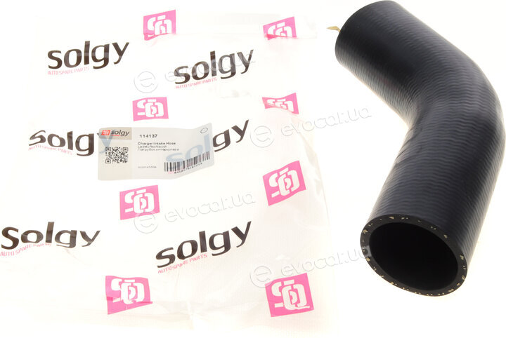 Solgy 114137