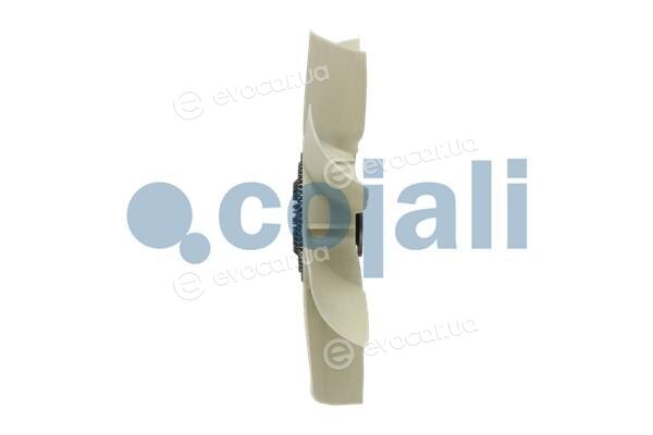 Cojali 7085110