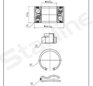 Starline LO 00915