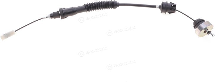 Solgy 118007
