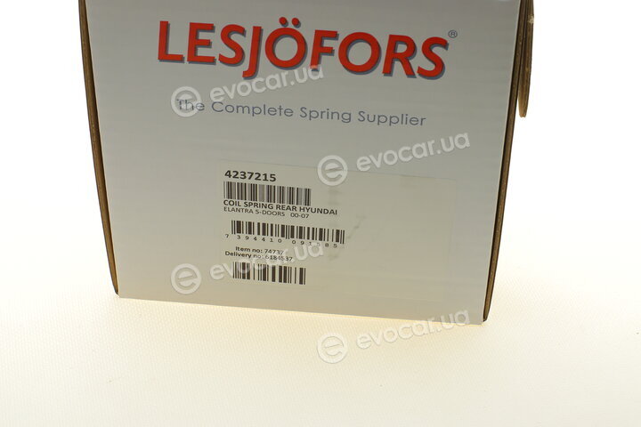 Lesjofors 4237215