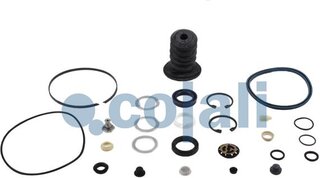 Cojali 6034020