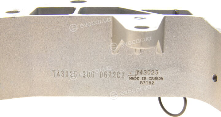 Gates K025491XS