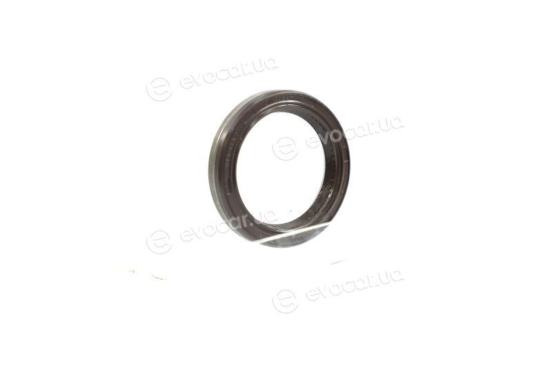 Elring 069.590