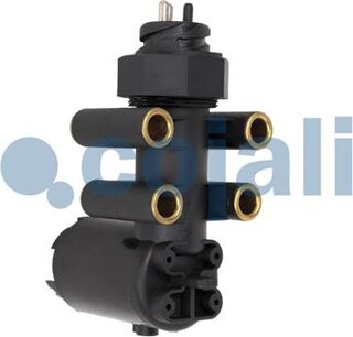 Cojali 2209105
