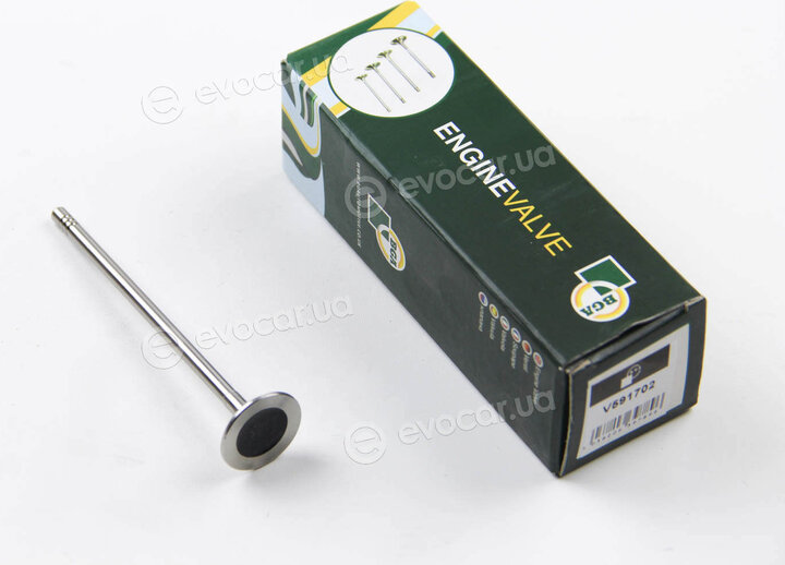 BGA V591702