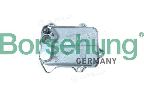 Borsehung B10883