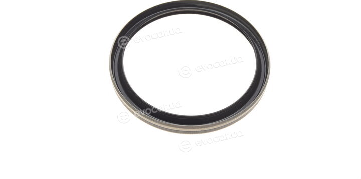Elring 492.060