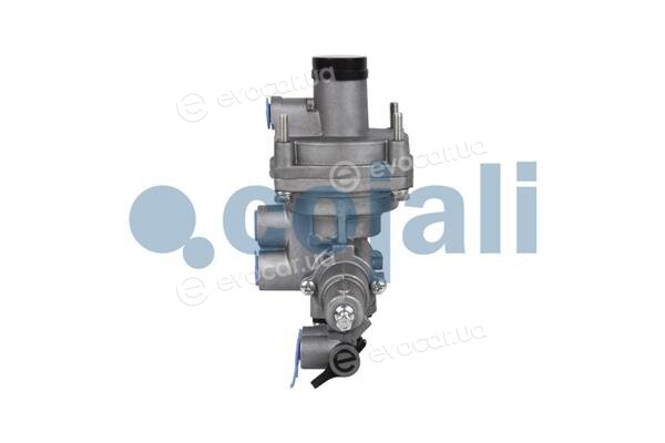 Cojali 2220439