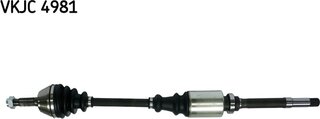 SKF VKJC 4981