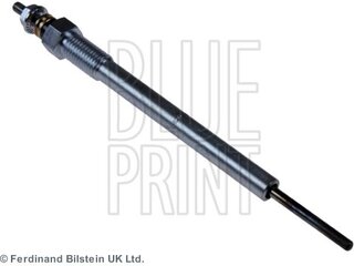 Blue Print ADG01844