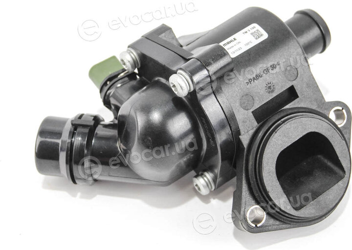 Mahle TM 3 100