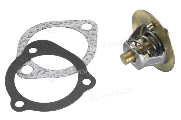 Wahler / BorgWarner 3118.88D1