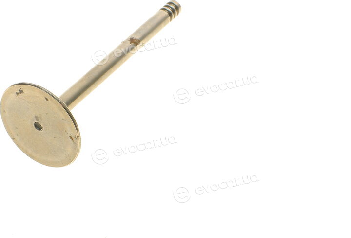 AMP PVWG049-S-0-N