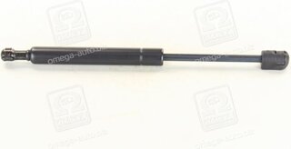 Magneti Marelli 430719010300