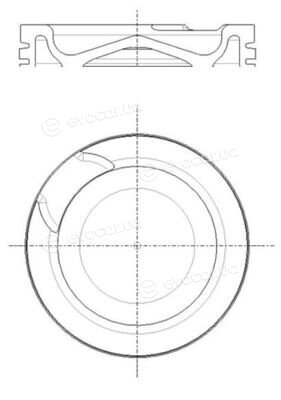 Mahle 001 PI 00191 000