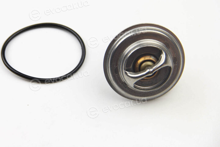 Motorad 304-77K