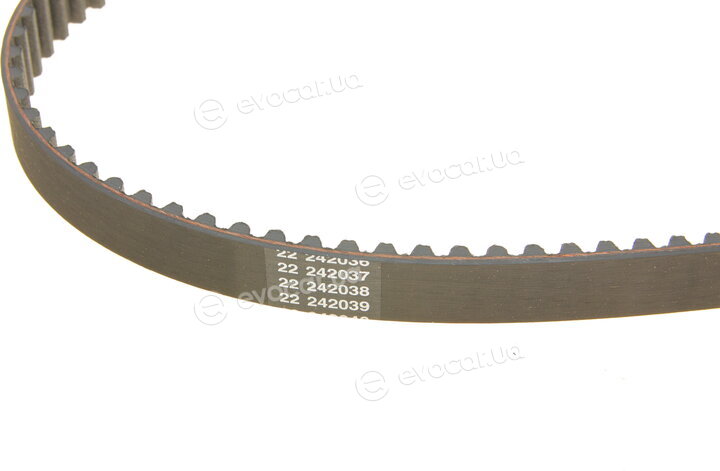 Dayco KTB308