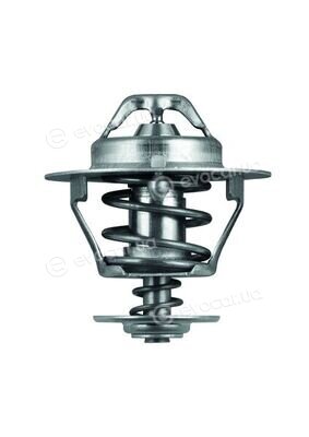 Mahle TX 77 88D