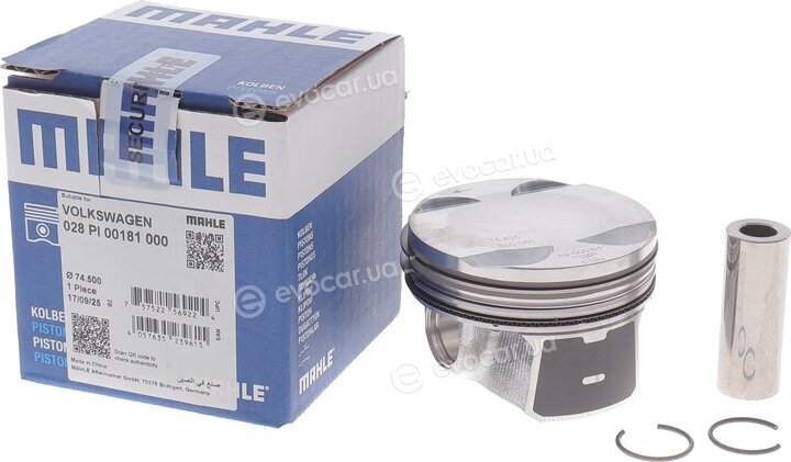 Mahle 028 PI 00181 000