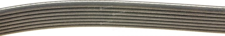 Dayco 7PK2061