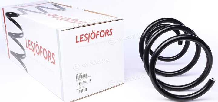 Lesjofors 4037256