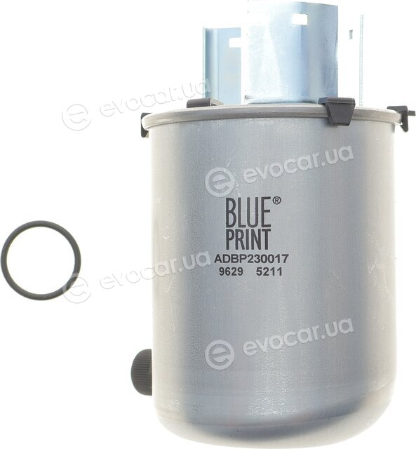 Blue Print ADBP230017